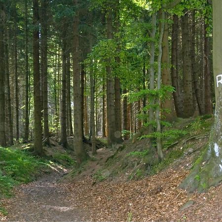 Panoramaferienwohnung Bergwiese Masserberg Kültér fotó