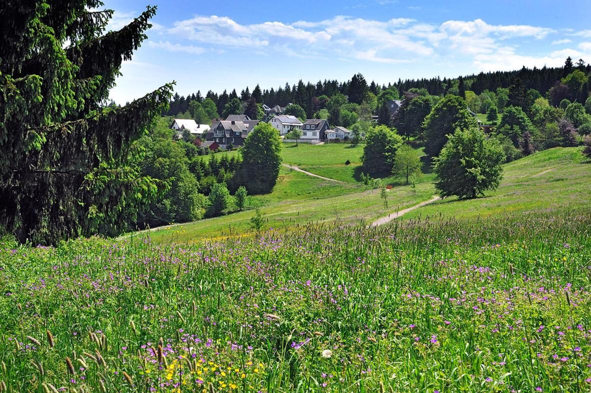 Panoramaferienwohnung Bergwiese Masserberg Kültér fotó