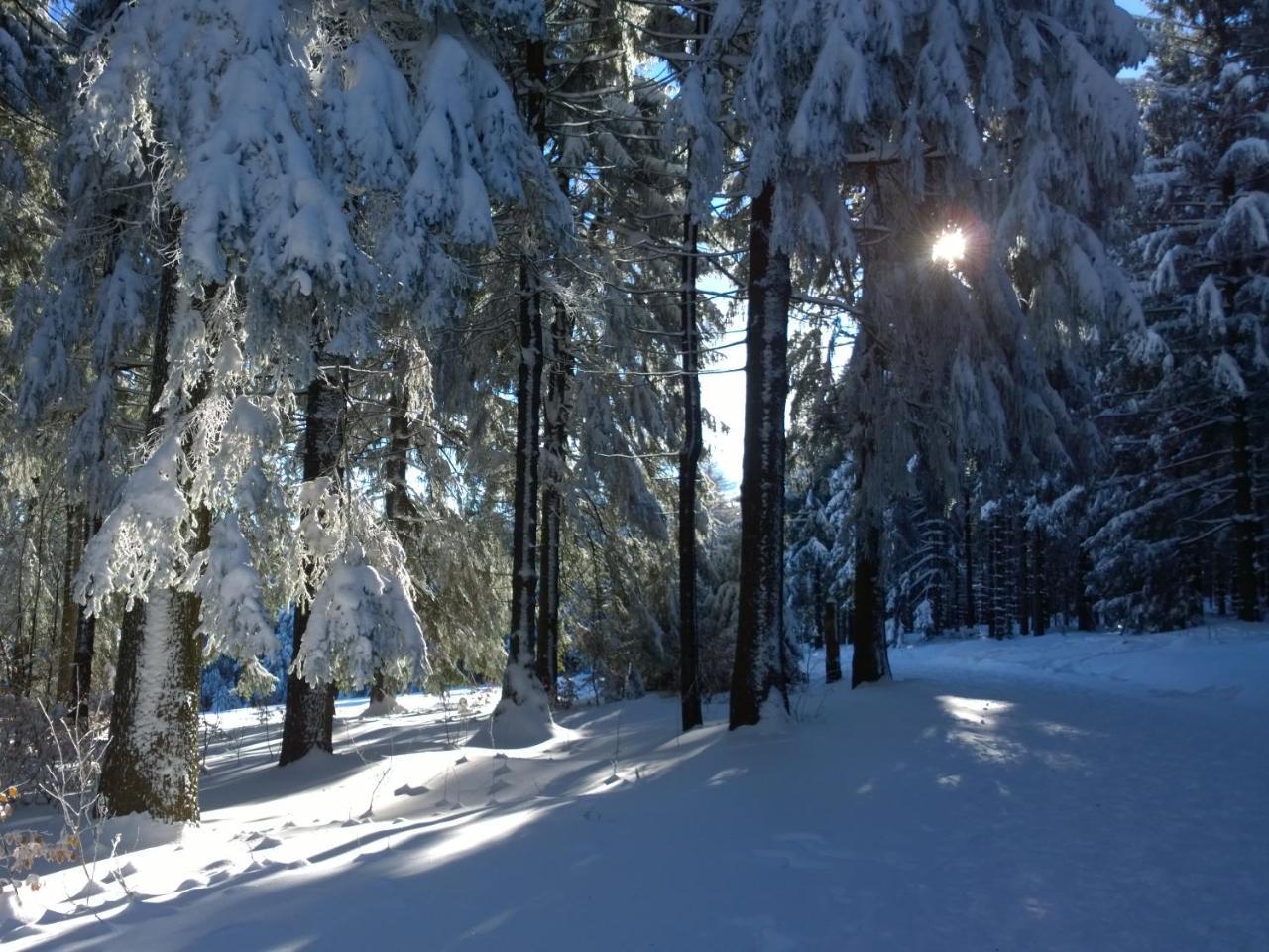 Panoramaferienwohnung Bergwiese Masserberg Kültér fotó