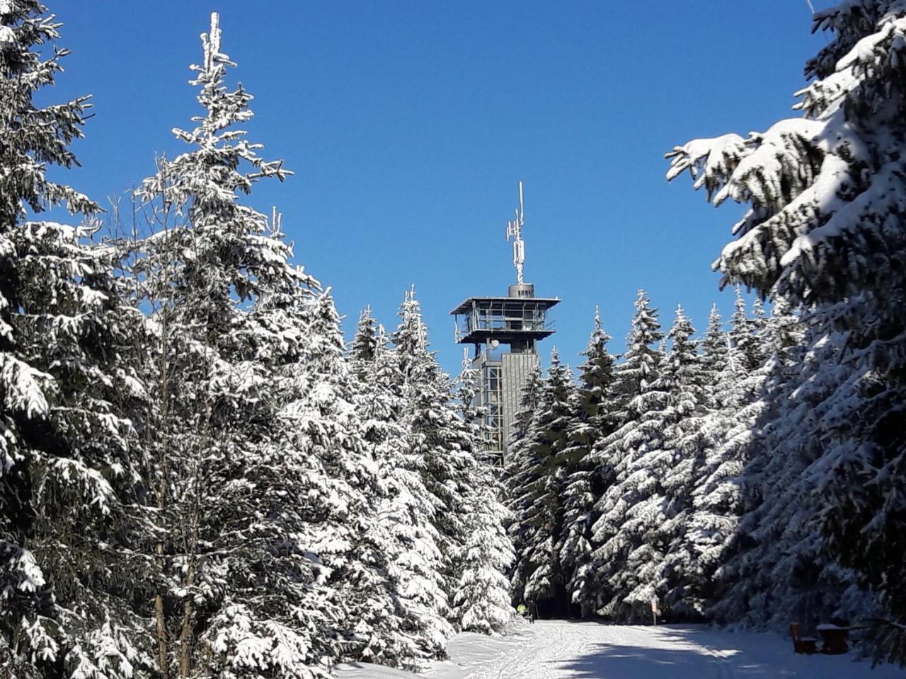 Panoramaferienwohnung Bergwiese Masserberg Kültér fotó